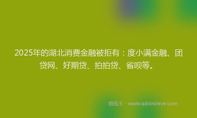 2025年的湖北消费金融被拒有：度小满金融、团贷网、好期贷、拍拍贷、省呗等。