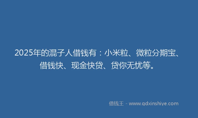 2025年的混子人借钱有：小米粒、微粒分期宝、借钱快、现金快贷、贷你无忧等。