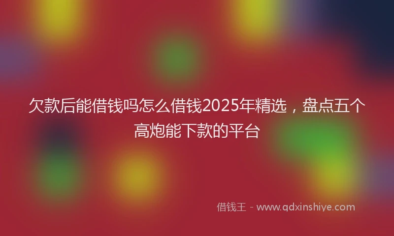 欠款后能借钱吗怎么借钱2025年精选，盘点五个高炮能下款的平台