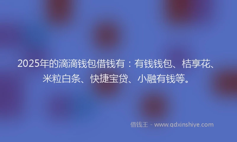 2025年的滴滴钱包借钱有：有钱钱包、桔享花、米粒白条、快捷宝贷、小融有钱等。