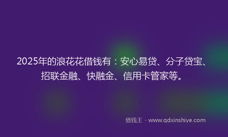 2025年的浪花花借钱有：安心易贷、分子贷宝、招联金融、快融金、信用卡管家等。