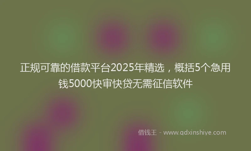 正规可靠的借款平台2025年精选，概括5个急用钱5000快审快贷无需征信软件