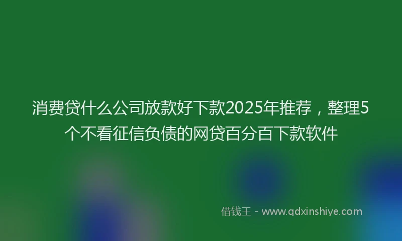 消费贷什么公司放款好下款2025年推荐，整理5个不看征信负债的网贷百分百下款软件
