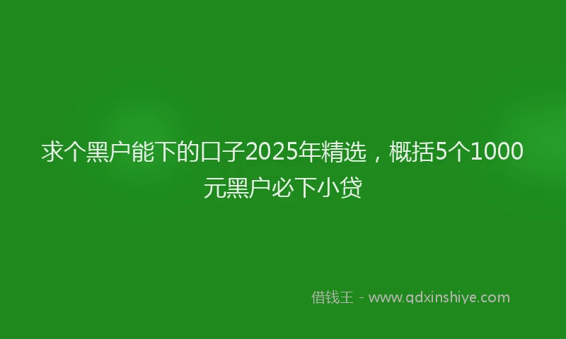 求个黑户能下的口子2025年精选，概括5个1000元黑户必下小贷