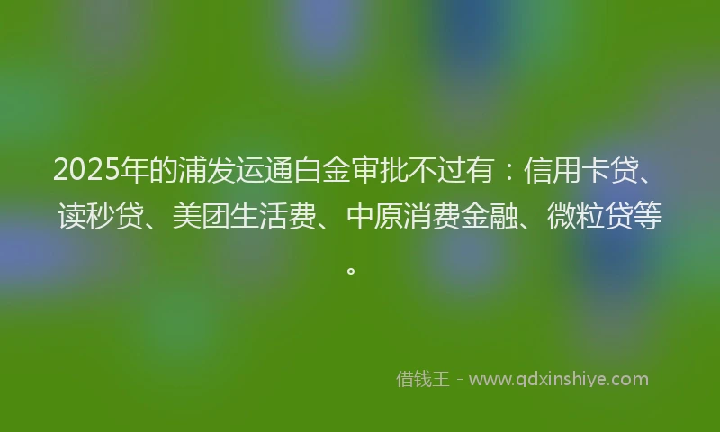 2025年的浦发运通白金审批不过有：信用卡贷、读秒贷、美团生活费、中原消费金融、微粒贷等。