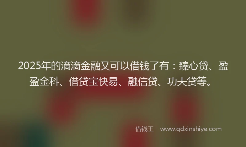 2025年的滴滴金融又可以借钱了有：臻心贷、盈盈金科、借贷宝快易、融信贷、功夫贷等。