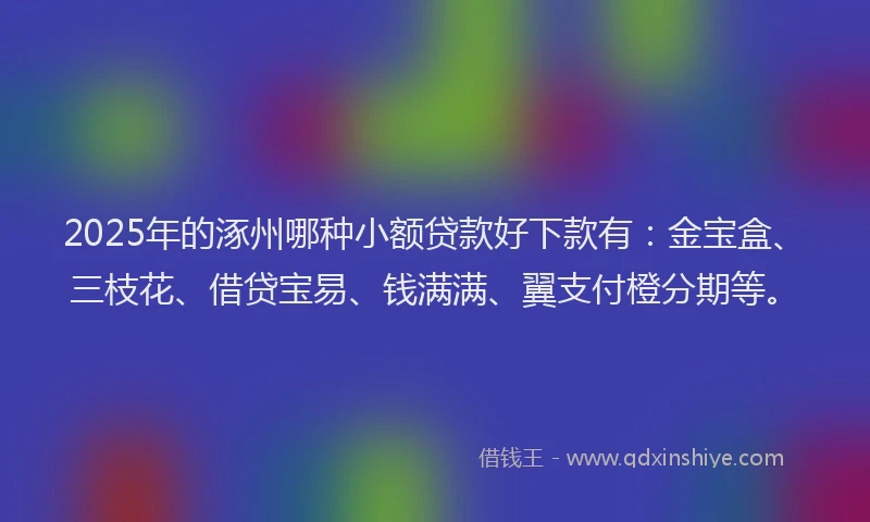 2025年的涿州哪种小额贷款好下款有：金宝盒、三枝花、借贷宝易、钱满满、翼支付橙分期等。