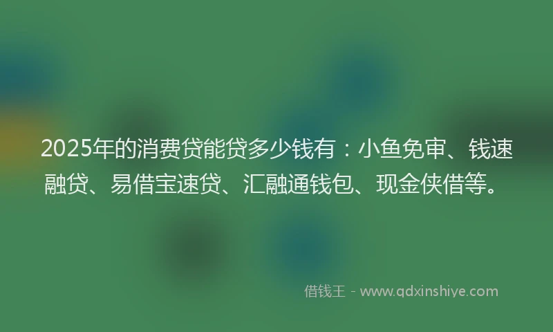 2025年的消费贷能贷多少钱有：小鱼免审、钱速融贷、易借宝速贷、汇融通钱包、现金侠借等。