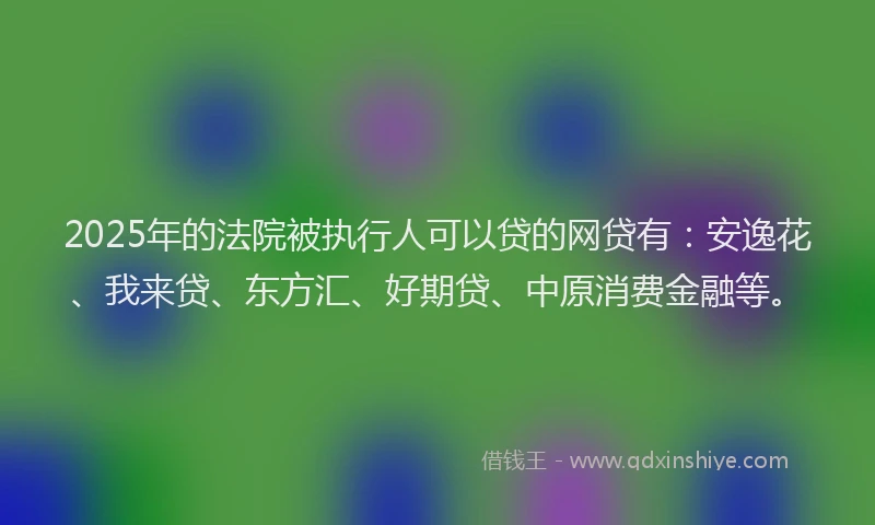 2025年的法院被执行人可以贷的网贷有：安逸花、我来贷、东方汇、好期贷、中原消费金融等。