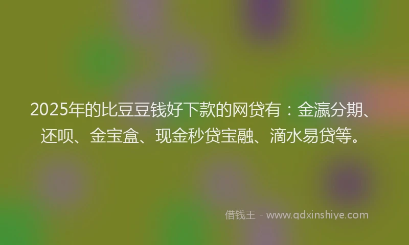 2025年的比豆豆钱好下款的网贷有：金瀛分期、还呗、金宝盒、现金秒贷宝融、滴水易贷等。