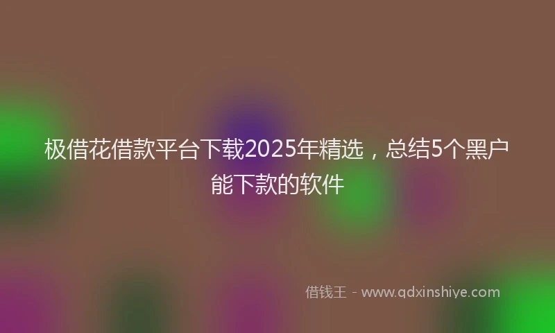 极借花借款平台下载2025年精选，总结5个黑户能下款的软件
