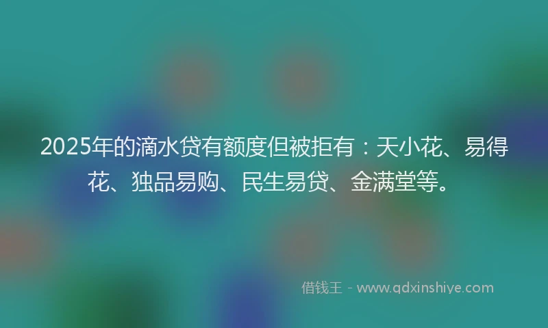 2025年的滴水贷有额度但被拒有：天小花、易得花、独品易购、民生易贷、金满堂等。