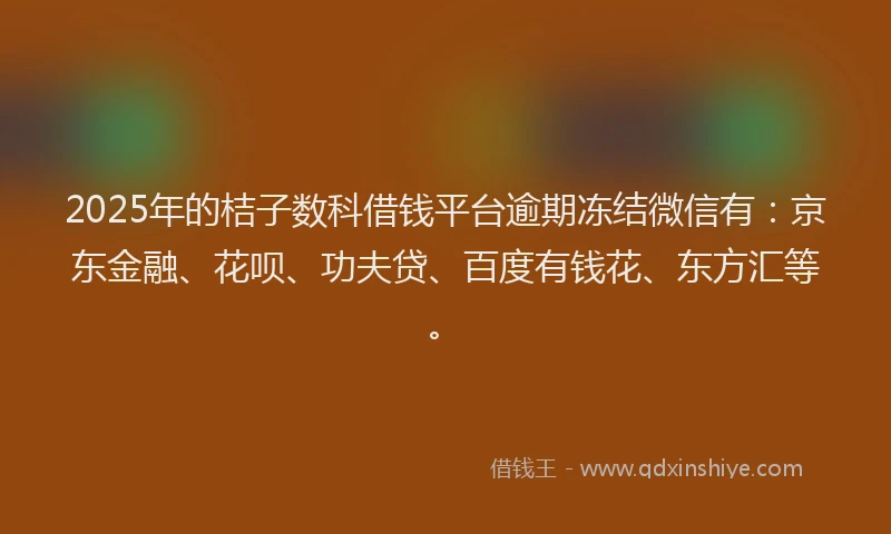 2025年的桔子数科借钱平台逾期冻结微信有：京东金融、花呗、功夫贷、百度有钱花、东方汇等。