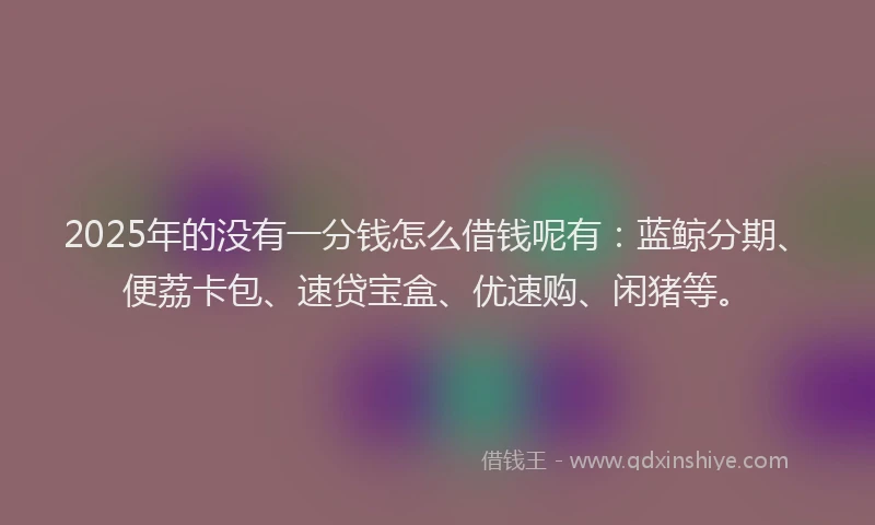 2025年的没有一分钱怎么借钱呢有：蓝鲸分期、便荔卡包、速贷宝盒、优速购、闲猪等。