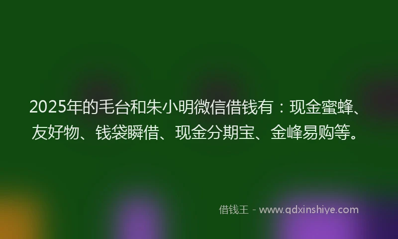 2025年的毛台和朱小明微信借钱有：现金蜜蜂、友好物、钱袋瞬借、现金分期宝、金峰易购等。