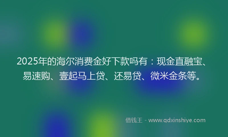 2025年的海尔消费金好下款吗有：现金直融宝、易速购、壹起马上贷、还易贷、微米金条等。
