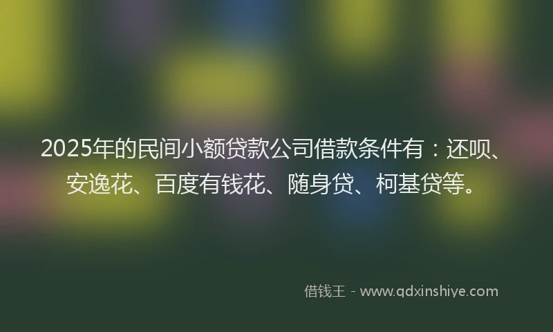 2025年的民间小额贷款公司借款条件有：还呗、安逸花、百度有钱花、随身贷、柯基贷等。