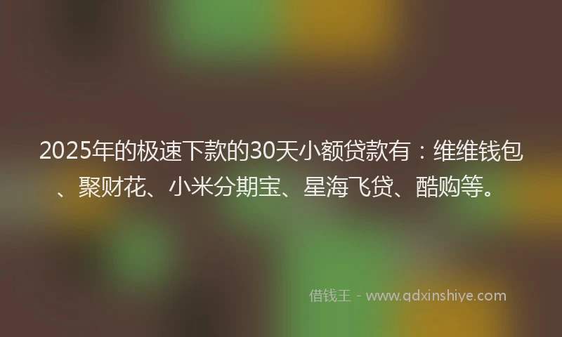 2025年的极速下款的30天小额贷款有：维维钱包、聚财花、小米分期宝、星海飞贷、酷购等。