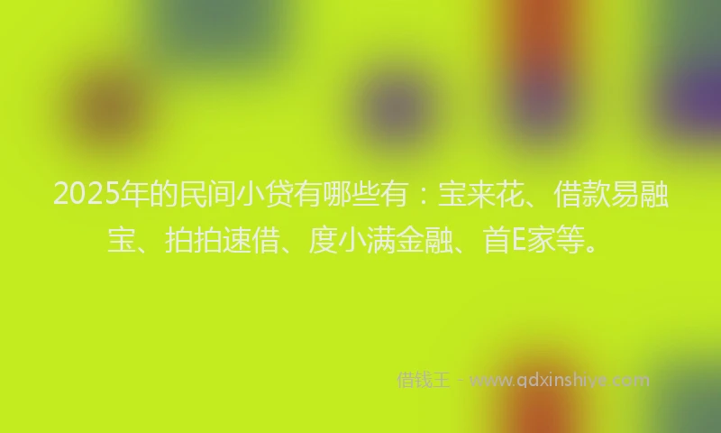 2025年的民间小贷有哪些有：宝来花、借款易融宝、拍拍速借、度小满金融、首E家等。