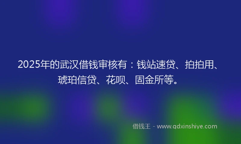 2025年的武汉借钱审核有：钱站速贷、拍拍用、琥珀信贷、花呗、固金所等。