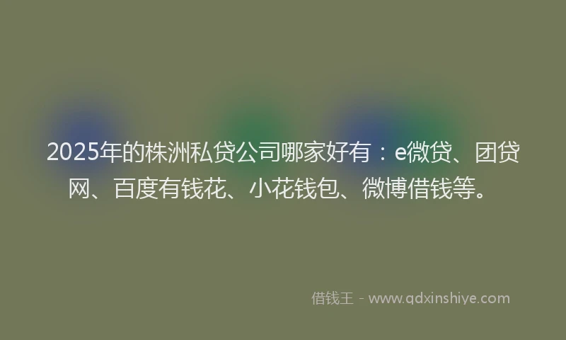 2025年的株洲私贷公司哪家好有：e微贷、团贷网、百度有钱花、小花钱包、微博借钱等。