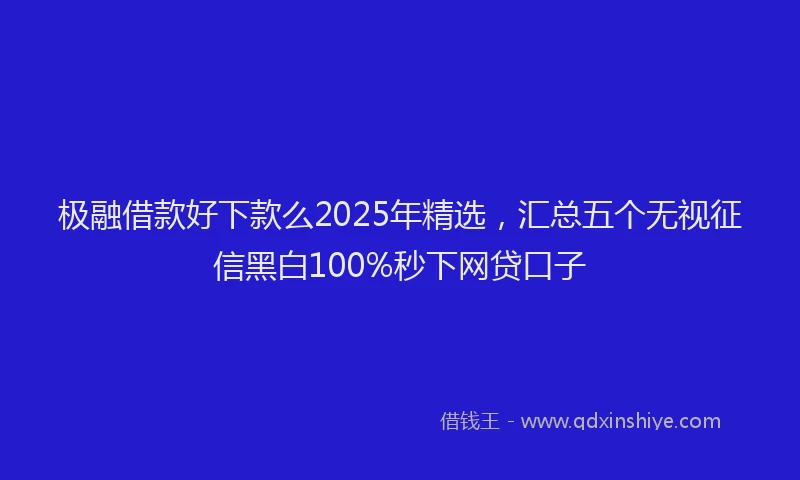极融借款好下款么2025年精选，汇总五个无视征信黑白100%秒下网贷口子