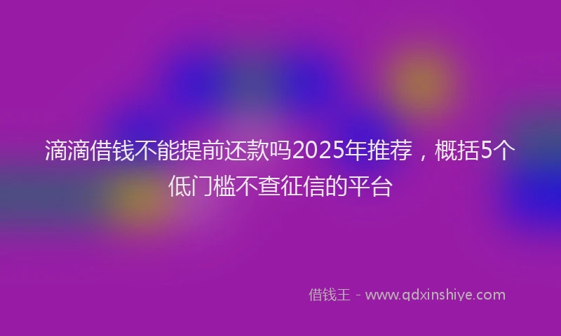 滴滴借钱不能提前还款吗2025年推荐，概括5个低门槛不查征信的平台