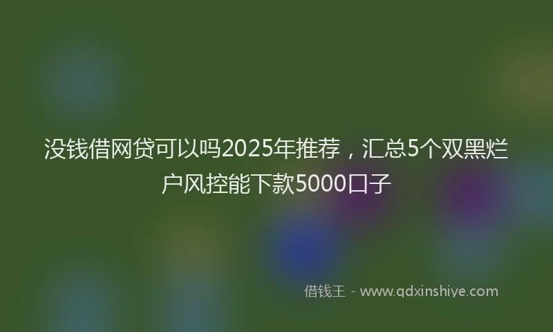 没钱借网贷可以吗2025年推荐，汇总5个双黑烂户风控能下款5000口子
