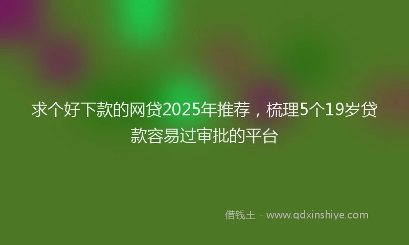求个好下款的网贷2025年推荐，梳理5个19岁贷款容易过审批的平台