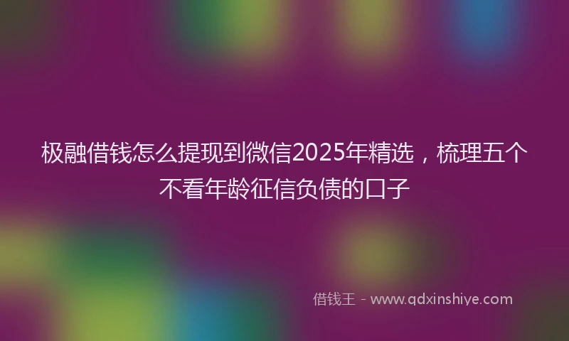 极融借钱怎么提现到微信2025年精选，梳理五个不看年龄征信负债的口子