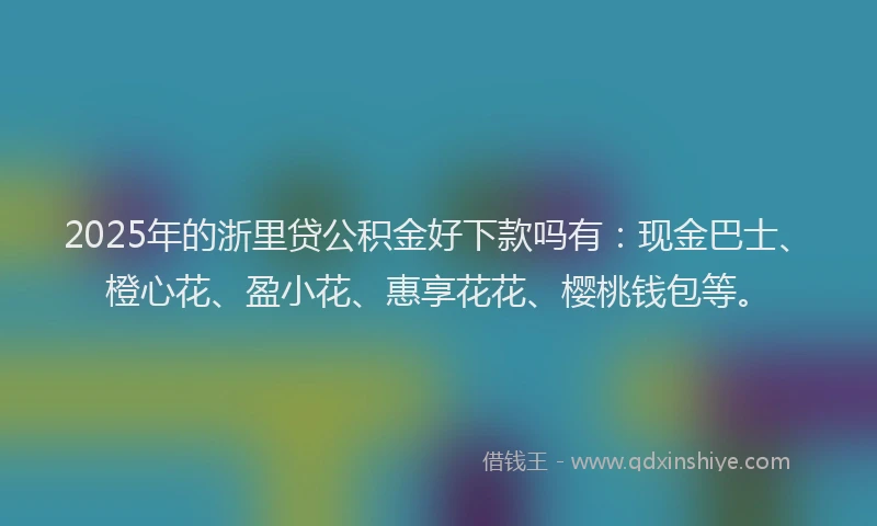 2025年的浙里贷公积金好下款吗有：现金巴士、橙心花、盈小花、惠享花花、樱桃钱包等。