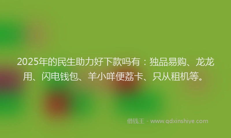 2025年的民生助力好下款吗有：独品易购、龙龙用、闪电钱包、羊小咩便荔卡、只从租机等。