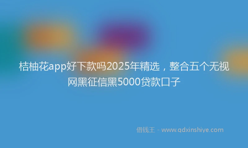 桔柚花app好下款吗2025年精选，整合五个无视网黑征信黑5000贷款口子