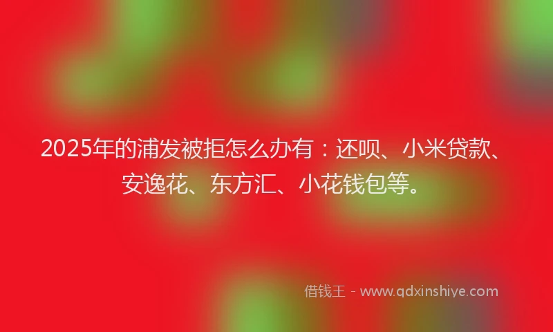 2025年的浦发被拒怎么办有:还呗、小米贷款、安逸花、东方汇、小花钱包等。