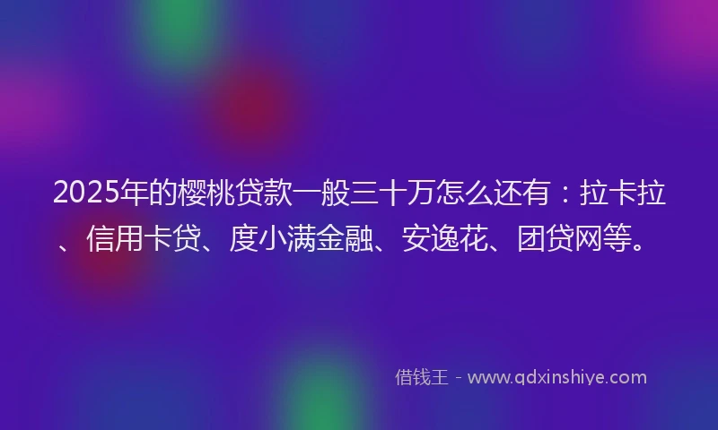 2025年的樱桃贷款一般三十万怎么还有：拉卡拉、信用卡贷、度小满金融、安逸花、团贷网等。