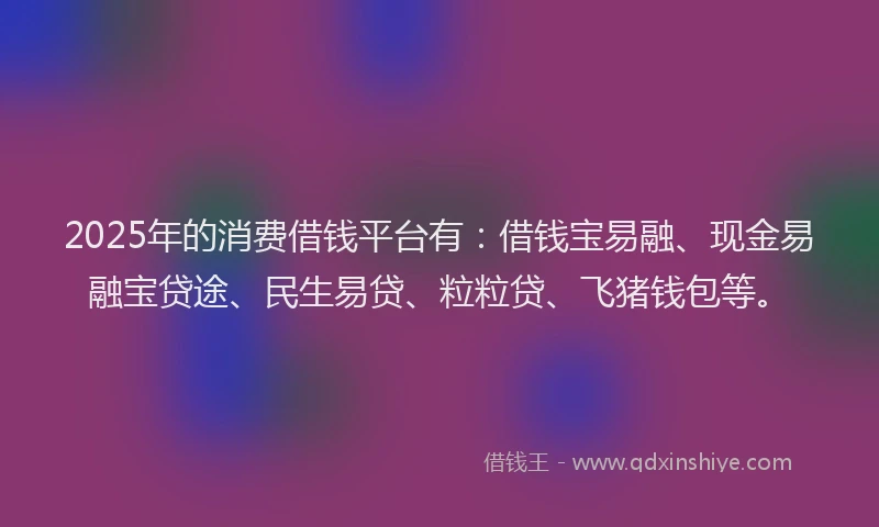 2025年的消费借钱平台有:借钱宝易融、现金易融宝贷途、民生易贷、粒粒贷、飞猪钱包等。