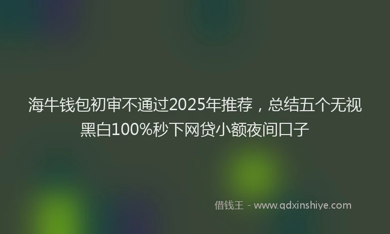 海牛钱包初审不通过2025年推荐，总结五个无视黑白100%秒下网贷小额夜间口子