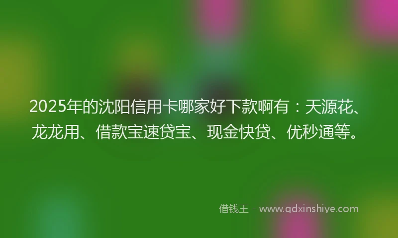 2025年的沈阳信用卡哪家好下款啊有：天源花、龙龙用、借款宝速贷宝、现金快贷、优秒通等。