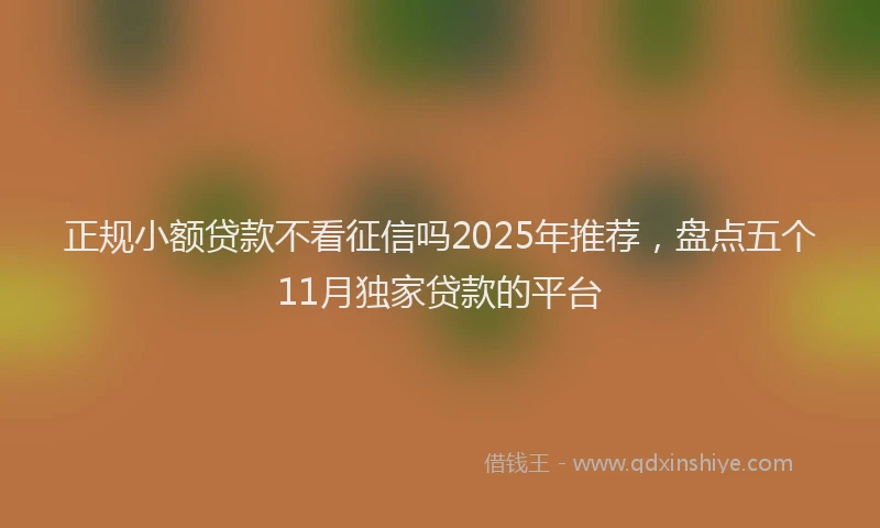 正规小额贷款不看征信吗2025年推荐，盘点五个11月独家贷款的平台