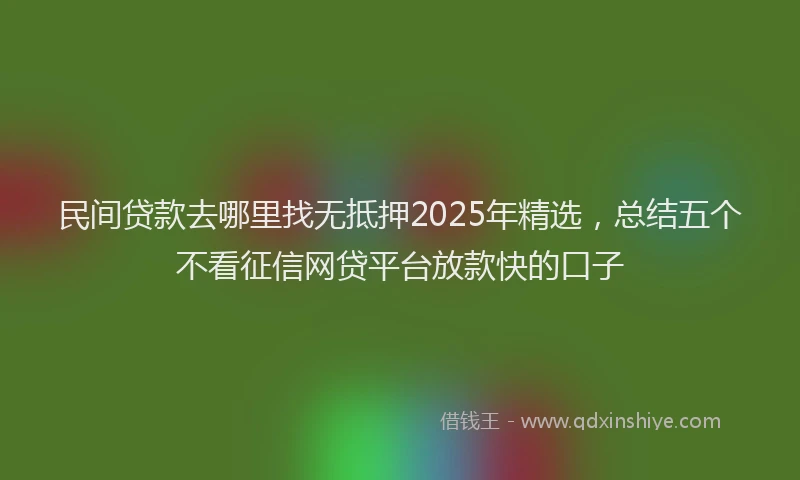 民间贷款去哪里找无抵押2025年精选，总结五个不看征信网贷平台放款快的口子