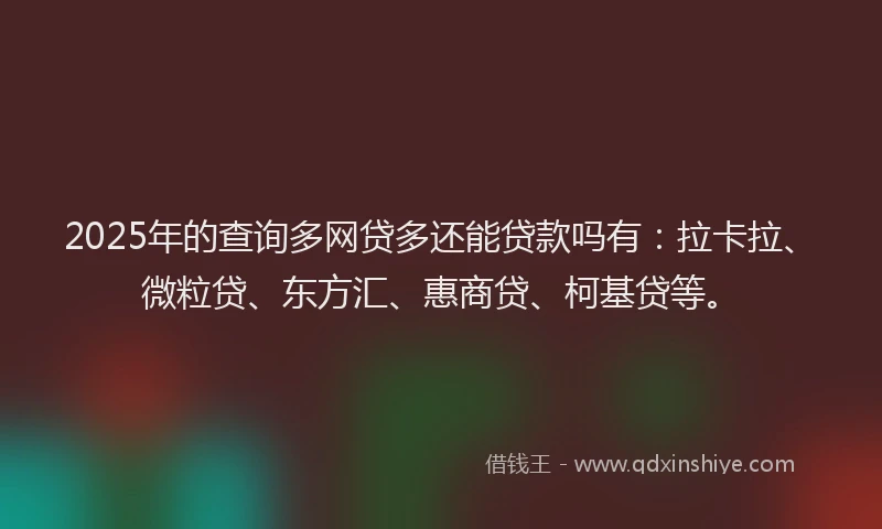 2025年的查询多网贷多还能贷款吗有：拉卡拉、微粒贷、东方汇、惠商贷、柯基贷等。