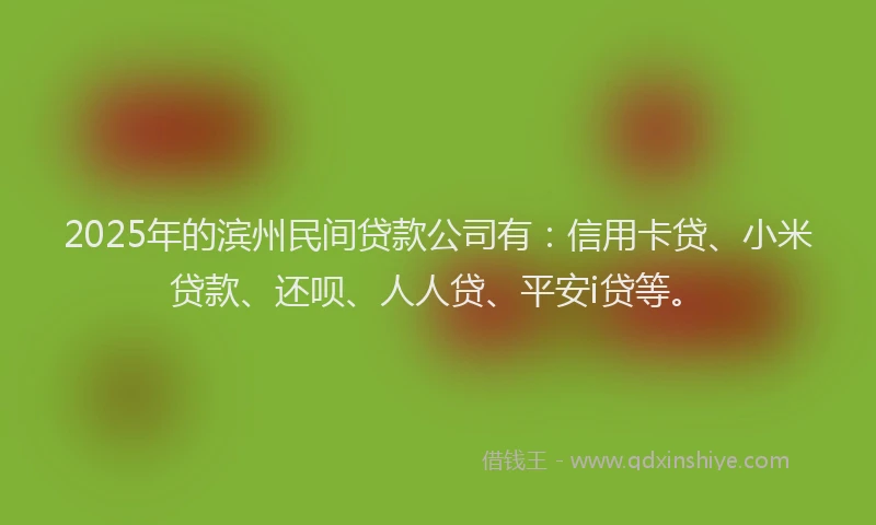 2025年的滨州民间贷款公司有：信用卡贷、小米贷款、还呗、人人贷、平安i贷等。