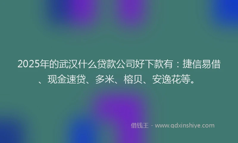 2025年的武汉什么贷款公司好下款有：捷信易借、现金速贷、多米、榕贝、安逸花等。
