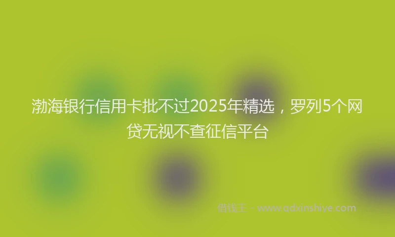 渤海银行信用卡批不过2025年精选，罗列5个网贷无视不查征信平台