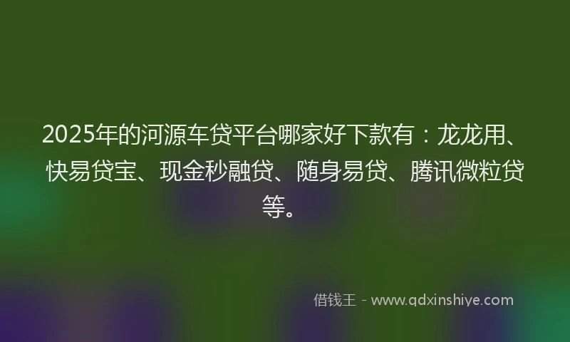 2025年的河源车贷平台哪家好下款有：龙龙用、快易贷宝、现金秒融贷、随身易贷、腾讯微粒贷等。