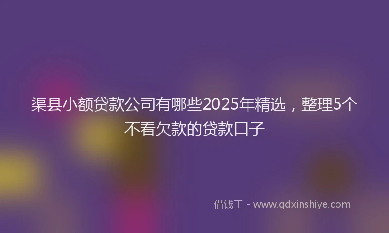 渠县小额贷款公司有哪些2025年精选，整理5个不看欠款的贷款口子