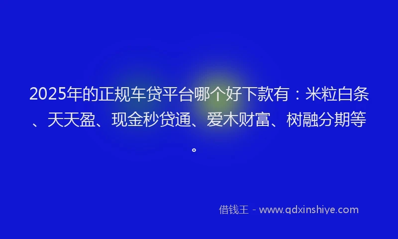 2025年的正规车贷平台哪个好下款有：米粒白条、天天盈、现金秒贷通、爱木财富、树融分期等。