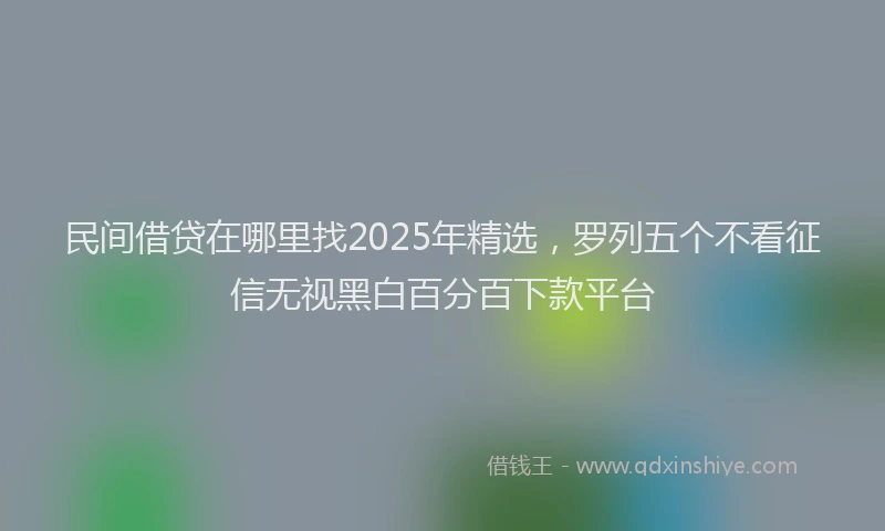 民间借贷在哪里找2025年精选，罗列五个不看征信无视黑白百分百下款平台