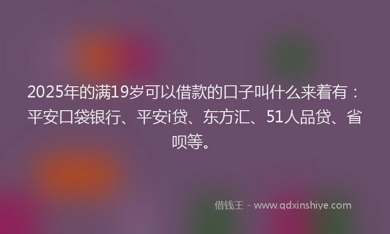 2025年的满19岁可以借款的口子叫什么来着有：平安口袋银行、平安i贷、东方汇、51人品贷、省呗等。