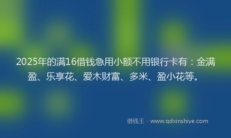 2025年的满16借钱急用小额不用银行卡有：金满盈、乐享花、爱木财富、多米、盈小花等。